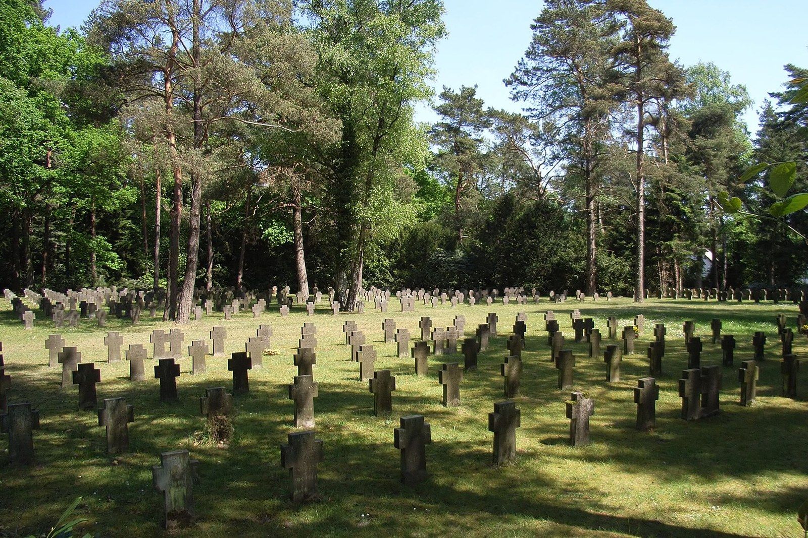 Bombenopferehrenfeld auf dem Sennefriedhof – Sennefriedhof